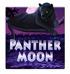 Panther MoonJoker